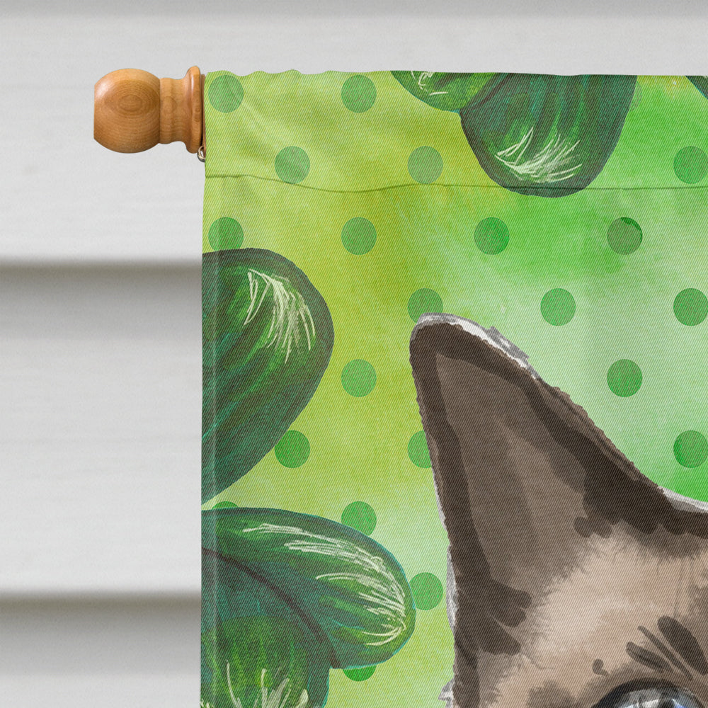 Siamese Shamrock House Flag 28x40 Porch Sleeve Pole Decorative Outside Yard Banner Artwork Wall Hanging, Polyester