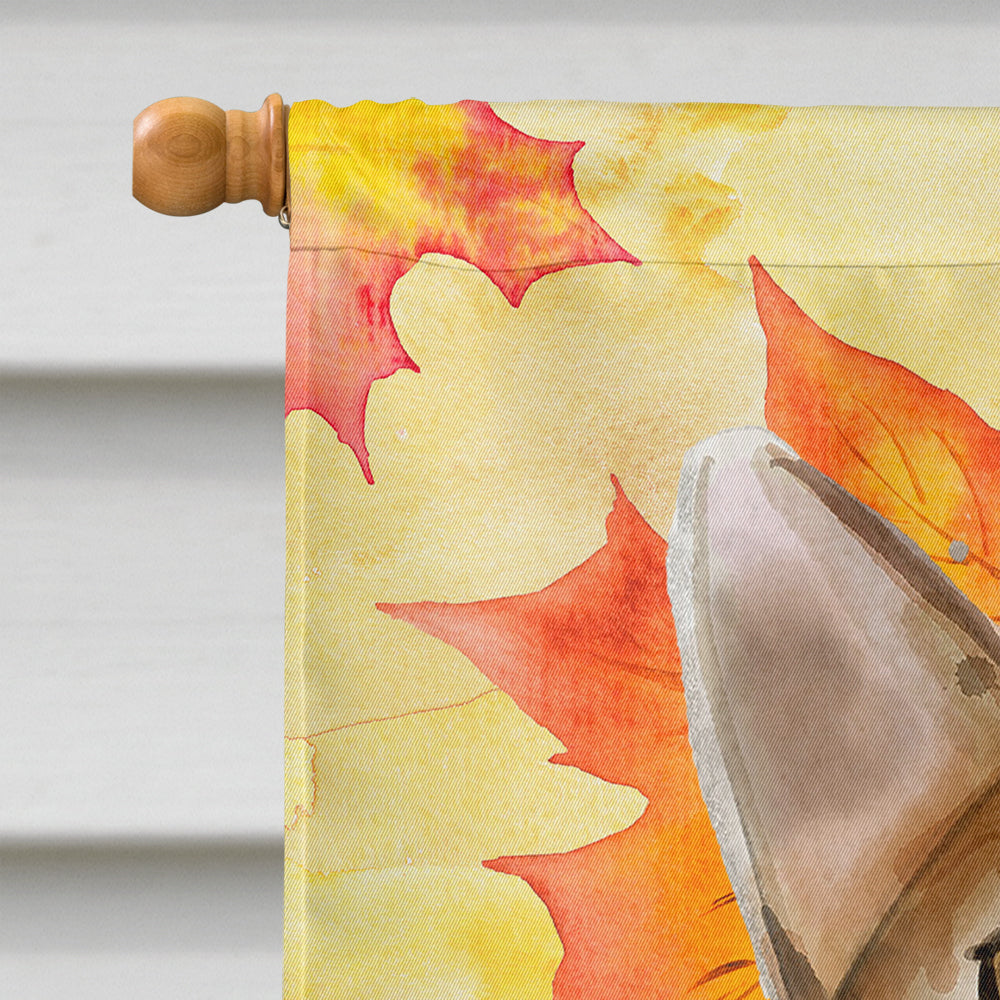 Abyssinian Fall Leaves House Flag 28x40 Porch Sleeve Pole Decorative Outside Yard Banner Artwork Wall Hanging, Polyester