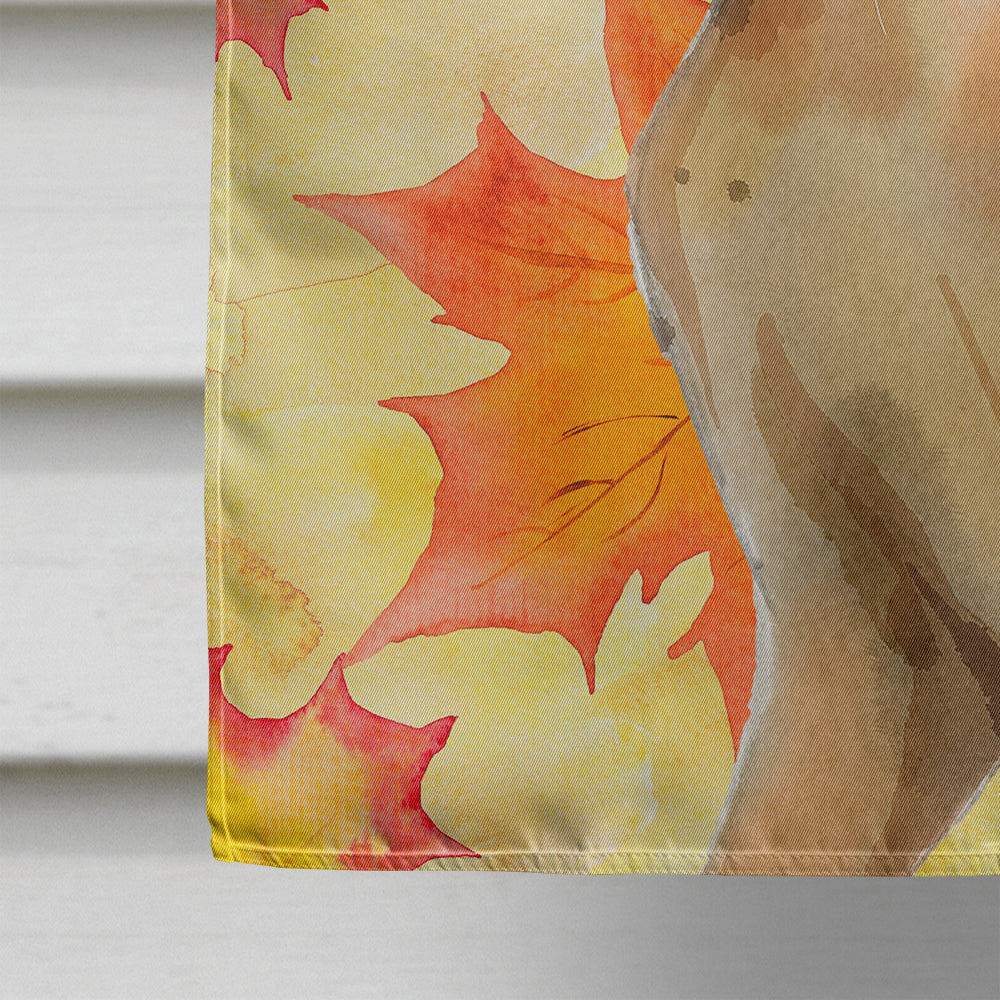 Abyssinian Fall Leaves House Flag 28x40 Porch Sleeve Pole Decorative Outside Yard Banner Artwork Wall Hanging, Polyester