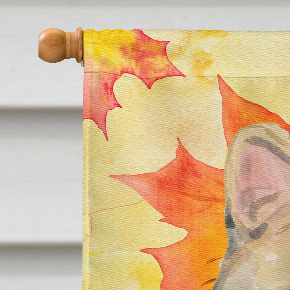 American Shorthair Brown Tabby Fall Leaves House Flag 28x40 Porch Sleeve Pole Decorative Outside Yard Banner Artwork Wall Hanging, Polyester
