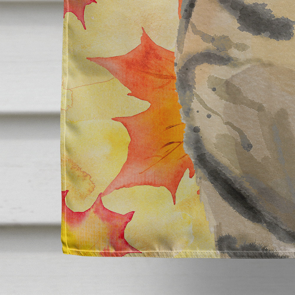American Shorthair Brown Tabby Fall Leaves House Flag 28x40 Porch Sleeve Pole Decorative Outside Yard Banner Artwork Wall Hanging, Polyester