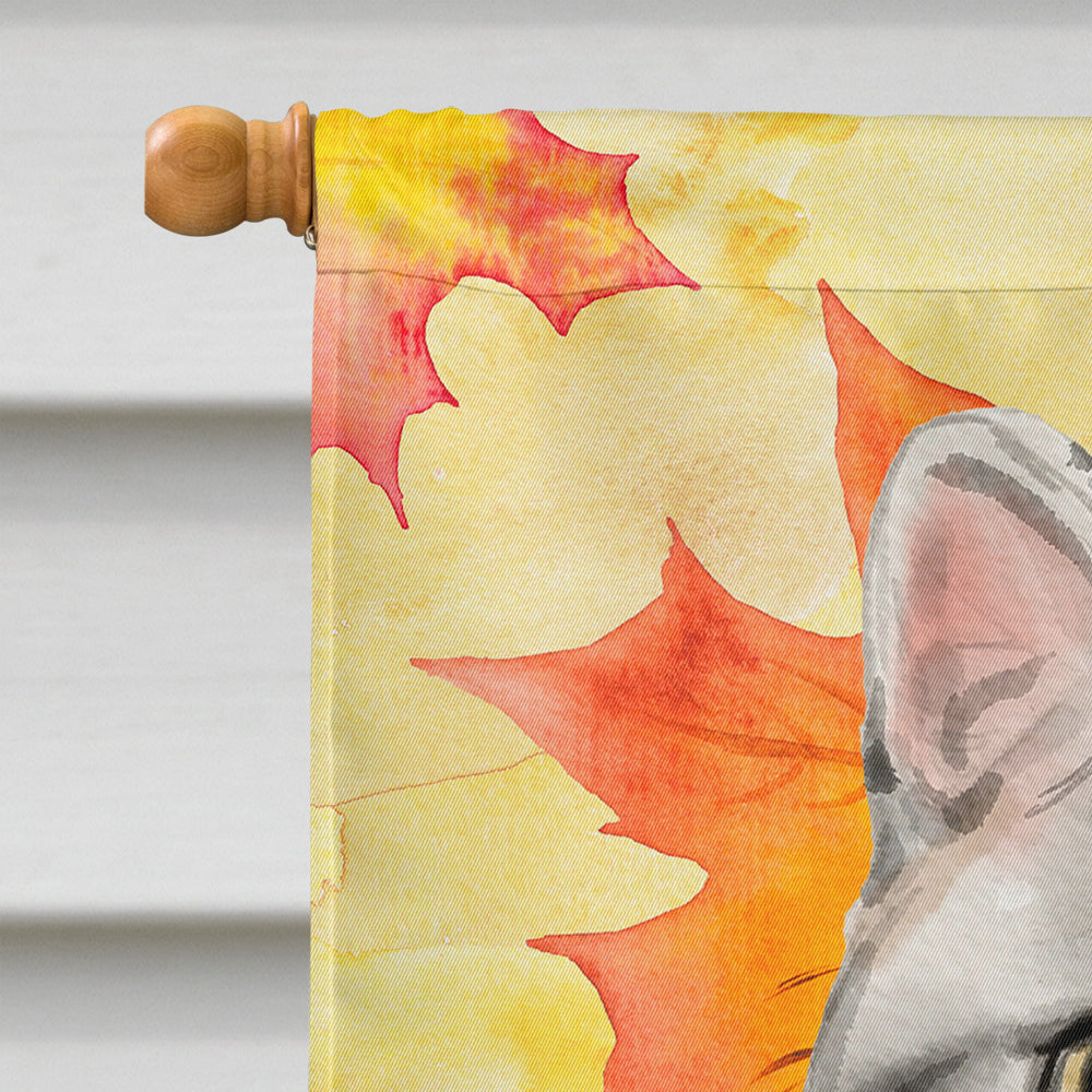 American Shorthair Fall Leaves House Flag 28x40 Porch Sleeve Pole Decorative Outside Yard Banner Artwork Wall Hanging, Polyester