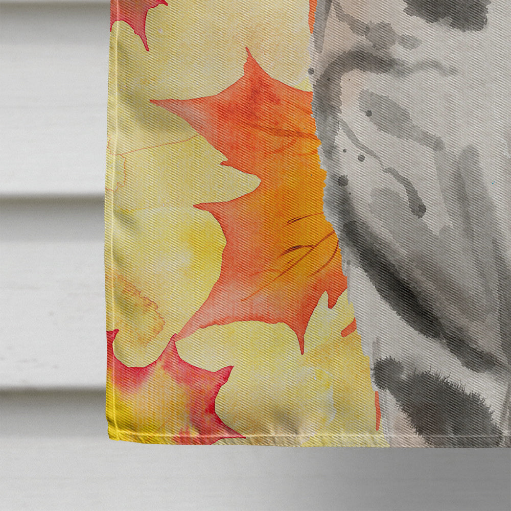 American Shorthair Fall Leaves House Flag 28x40 Porch Sleeve Pole Decorative Outside Yard Banner Artwork Wall Hanging, Polyester
