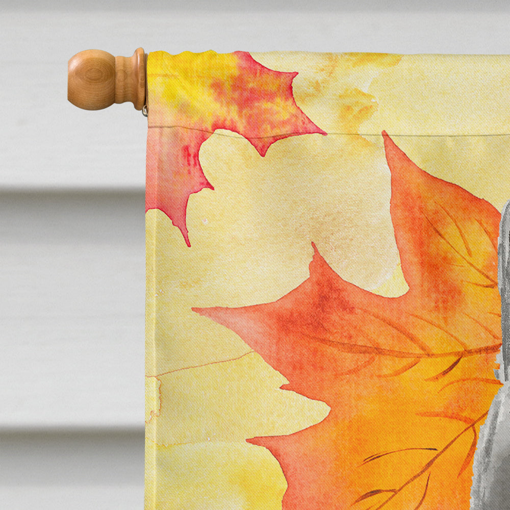 British Shorthair Fall Leaves House Flag 28x40 Porch Sleeve Pole Decorative Outside Yard Banner Artwork Wall Hanging, Polyester