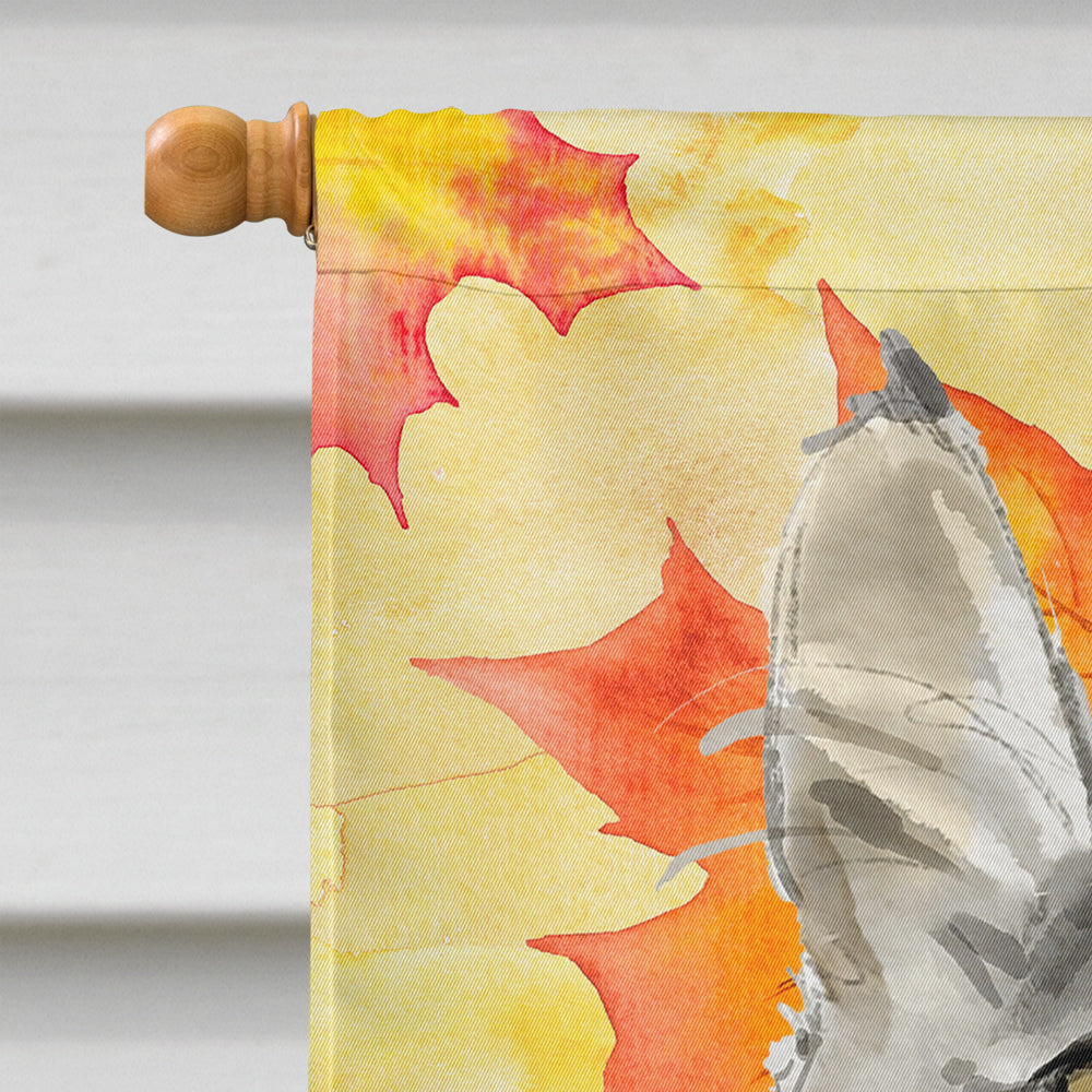 Maine Coon Fall Leaves House Flag 28x40 Porch Sleeve Pole Decorative Outside Yard Banner Artwork Wall Hanging, Polyester