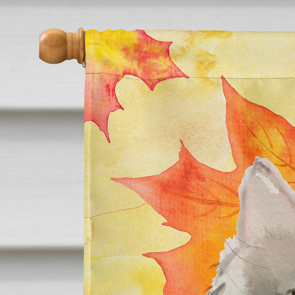 Ragamuffin Fall Leaves House Flag 28x40 Porch Sleeve Pole Decorative Outside Yard Banner Artwork Wall Hanging, Polyester