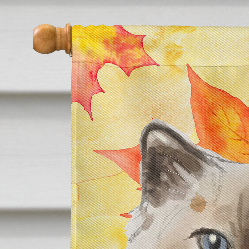 Ragdoll Fall Leaves House Flag 28x40 Porch Sleeve Pole Decorative Outside Yard Banner Artwork Wall Hanging, Polyester