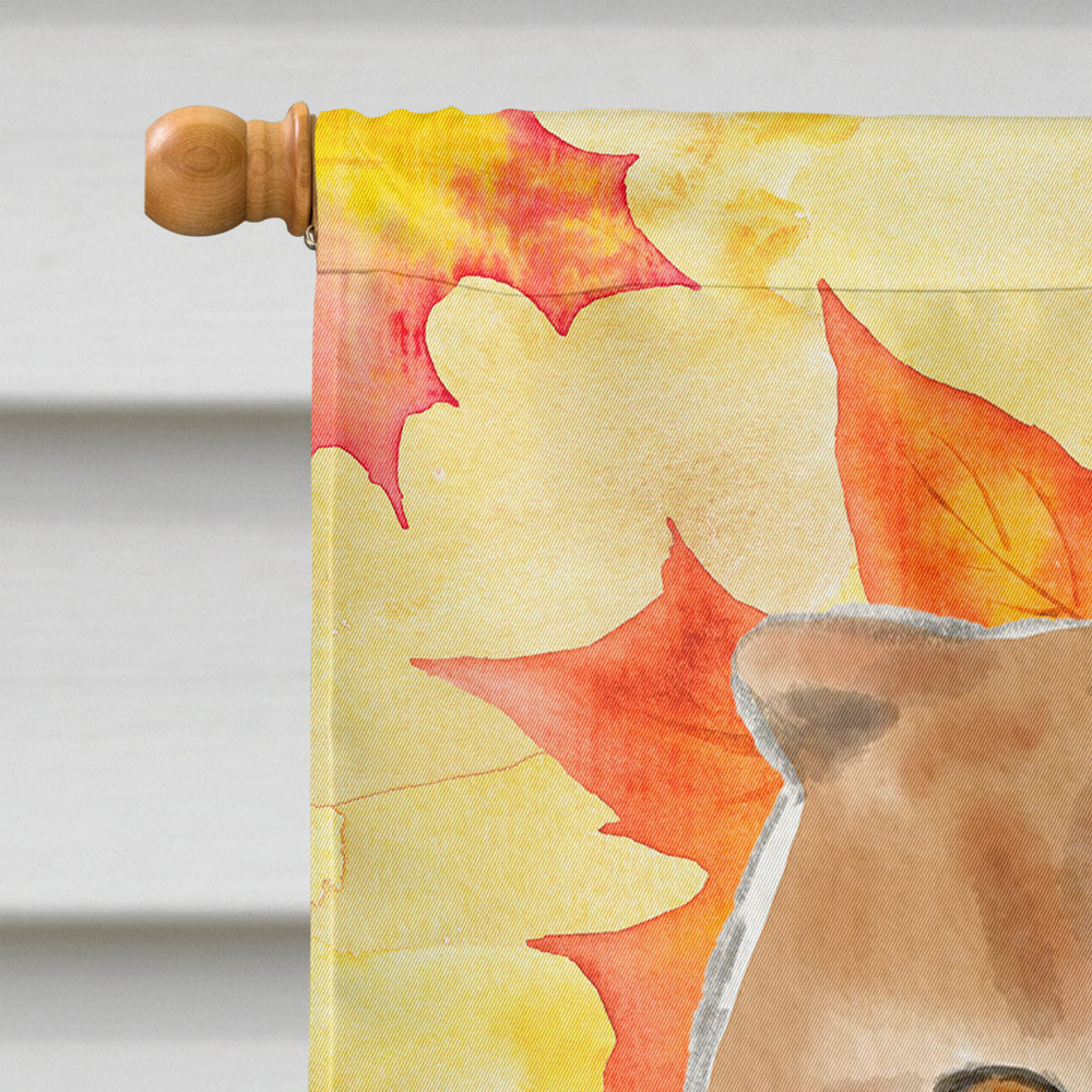 Scottish Fold Fall Leaves House Flag 28x40 Porch Sleeve Pole Decorative Outside Yard Banner Artwork Wall Hanging, Polyester
