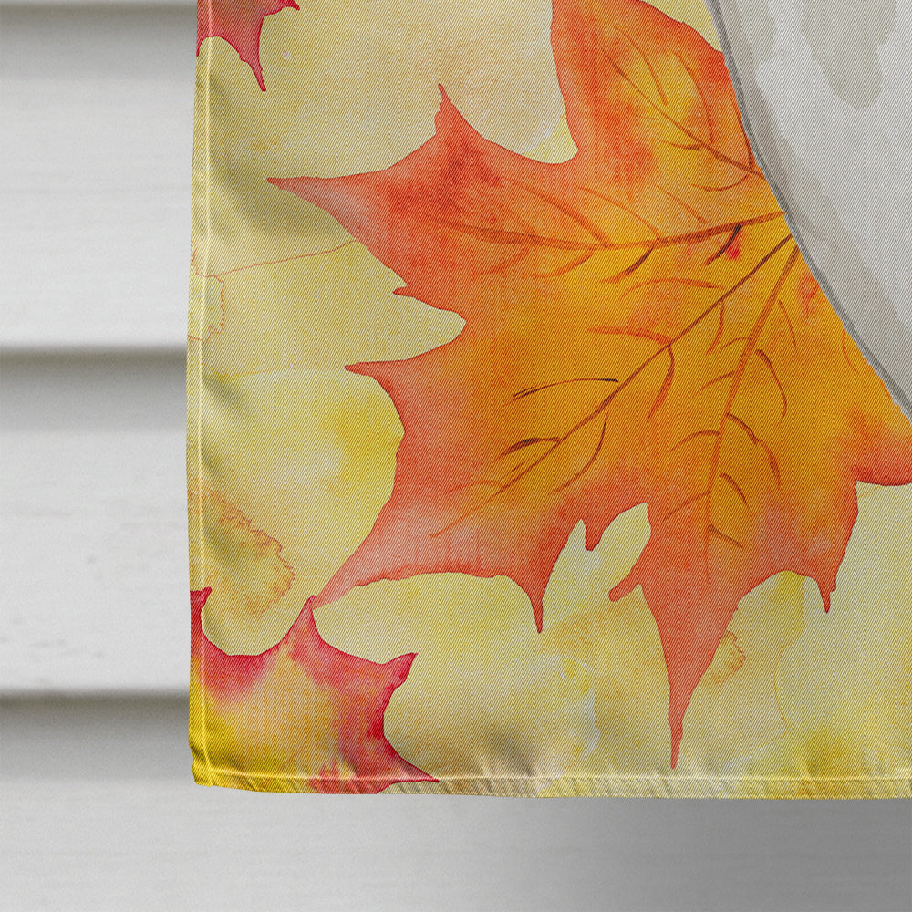 Scottish Fold Fall Leaves House Flag 28x40 Porch Sleeve Pole Decorative Outside Yard Banner Artwork Wall Hanging, Polyester
