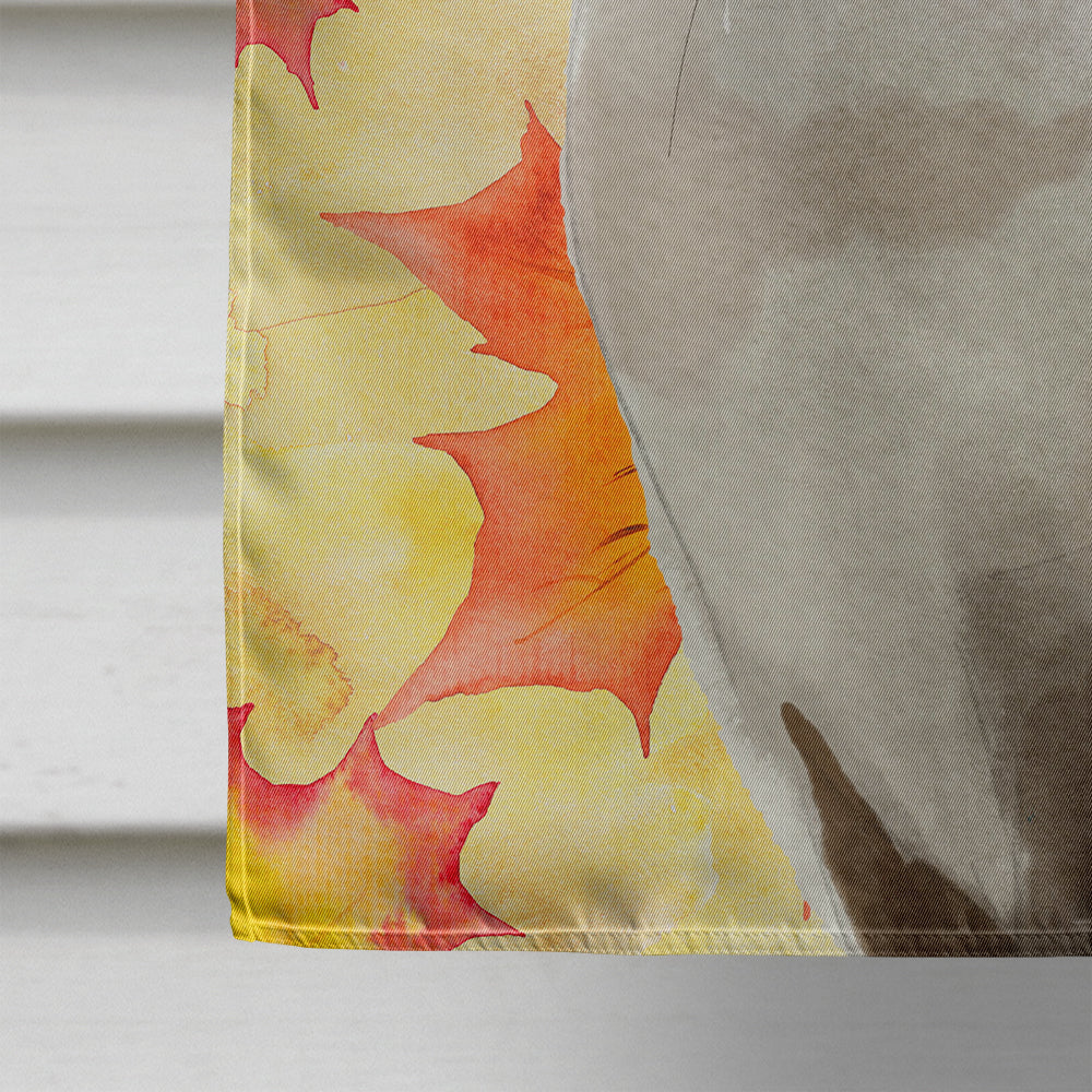 Siamese Fall Leaves House Flag 28x40 Porch Sleeve Pole Decorative Outside Yard Banner Artwork Wall Hanging, Polyester