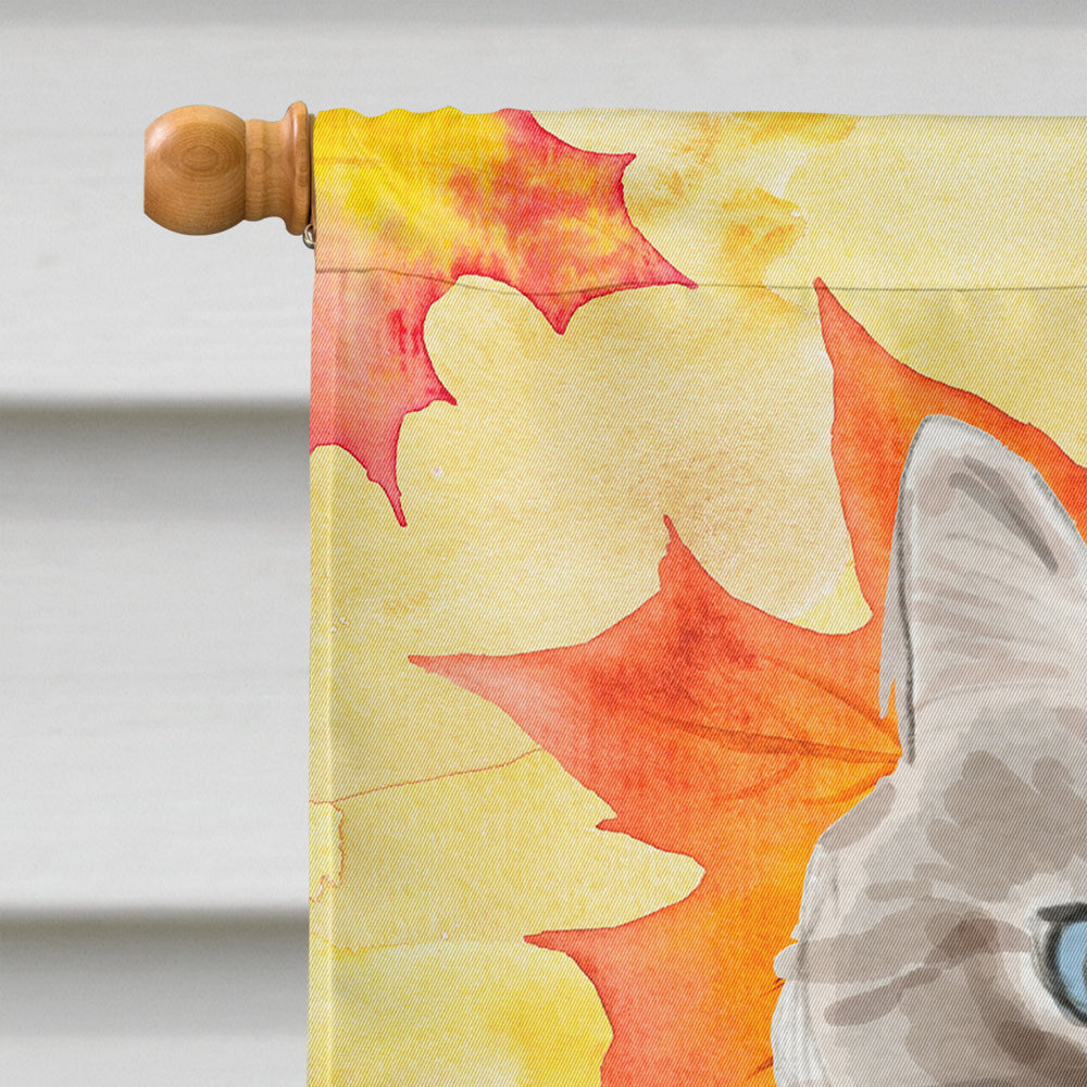 Siberian Fall Leaves House Flag 28x40 Porch Sleeve Pole Decorative Outside Yard Banner Artwork Wall Hanging, Polyester