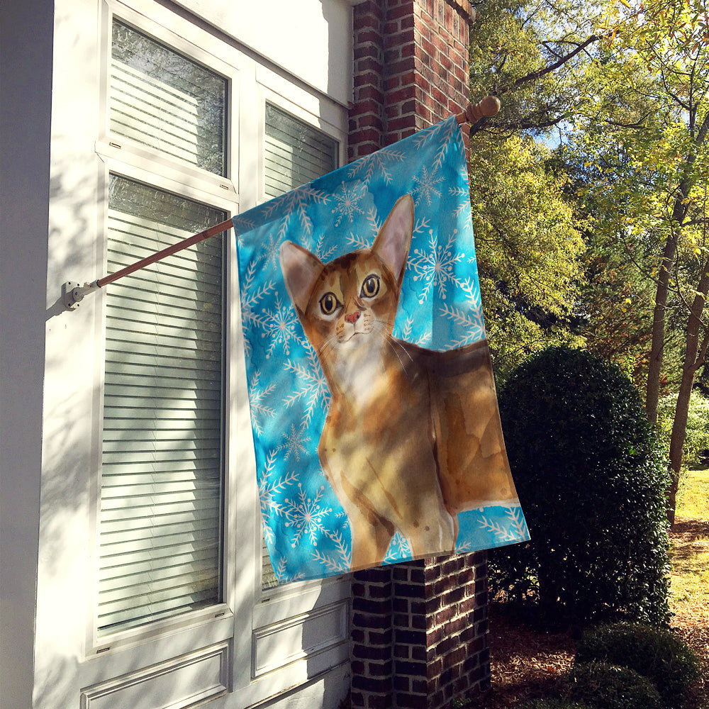 Abyssinian Winter Snowflake House Flag 28x40 Porch Sleeve Pole Decorative Outside Yard Banner Artwork Wall Hanging, Polyester