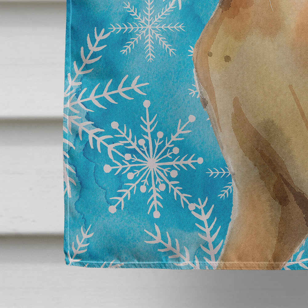 Abyssinian Winter Snowflake House Flag 28x40 Porch Sleeve Pole Decorative Outside Yard Banner Artwork Wall Hanging, Polyester