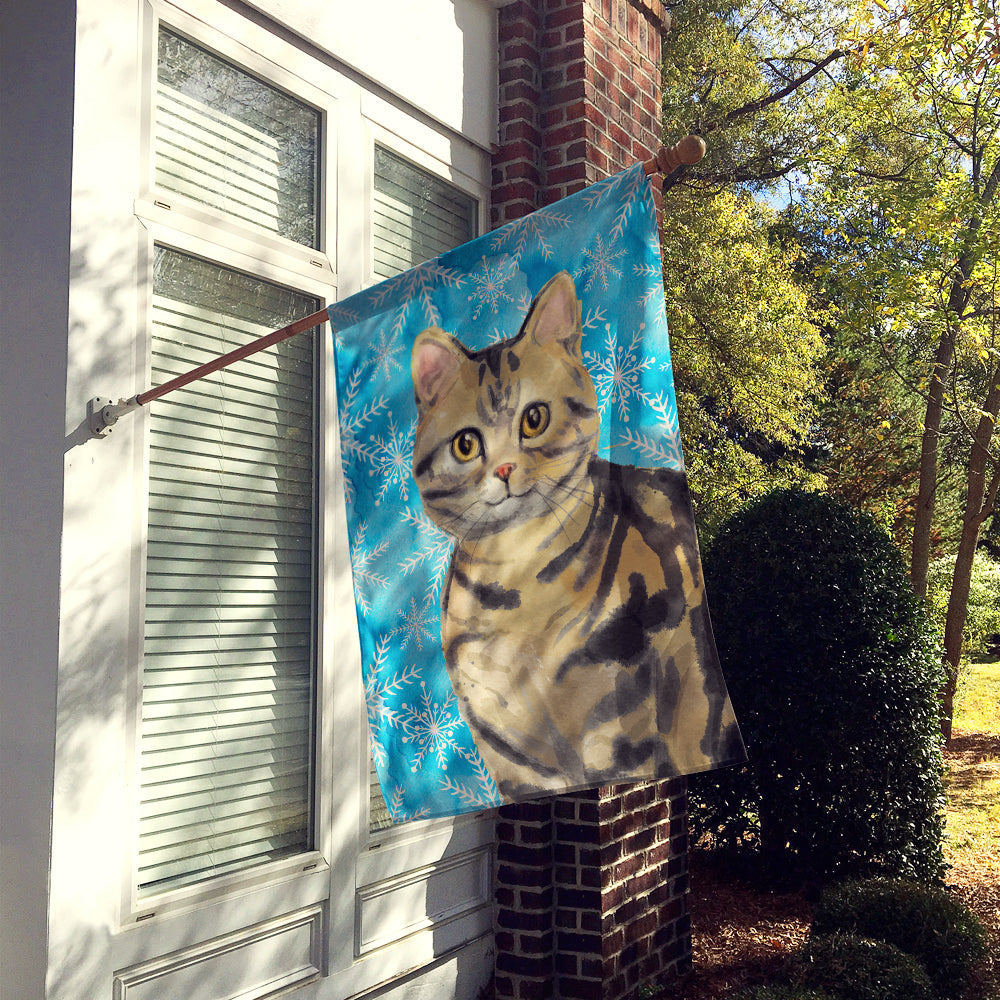 American Shorthair Brown Tabby Winter Snowflake House Flag 28x40 Porch Sleeve Pole Decorative Outside Yard Banner Artwork Wall Hanging, Polyester