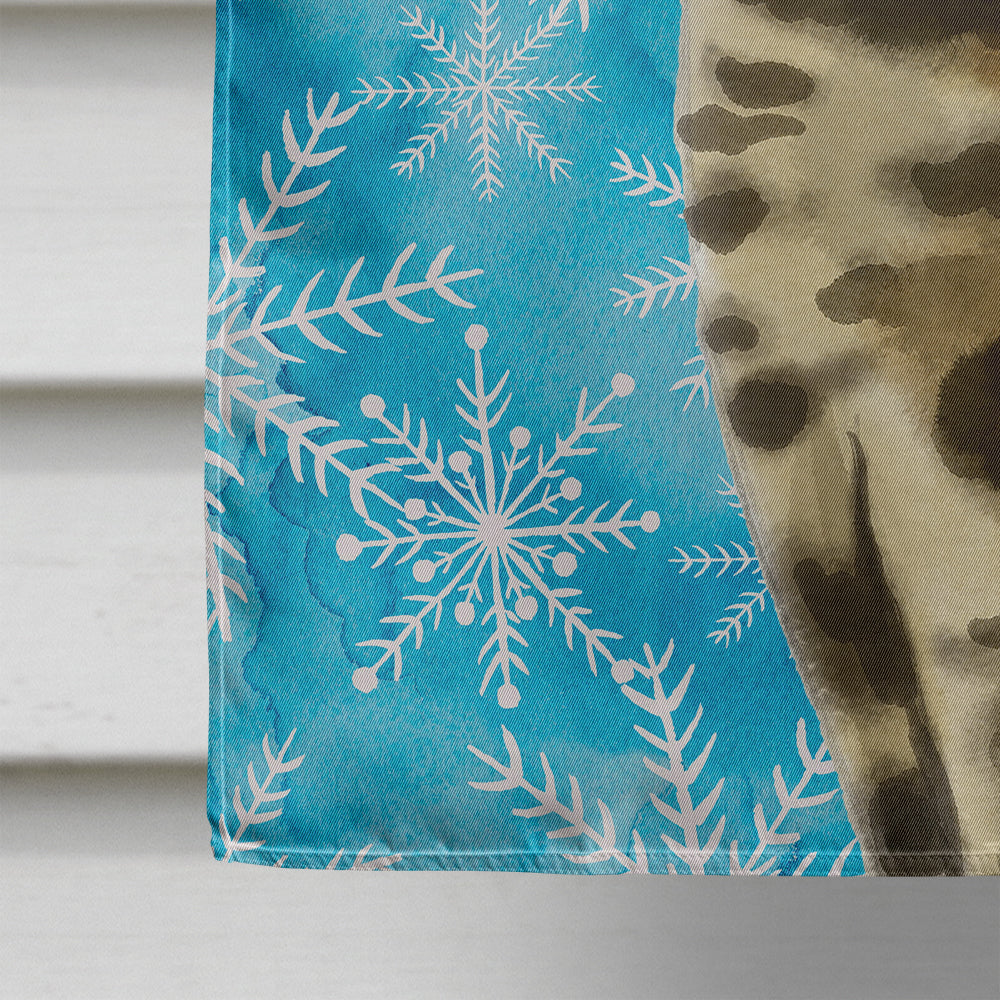 Bengal Winter Snowflake House Flag 28x40 Porch Sleeve Pole Decorative Outside Yard Banner Artwork Wall Hanging, Polyester