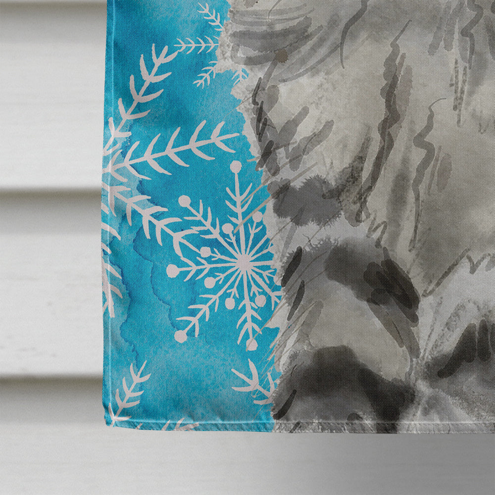 Maine Coon Winter Snowflake House Flag 28x40 Porch Sleeve Pole Decorative Outside Yard Banner Artwork Wall Hanging, Polyester