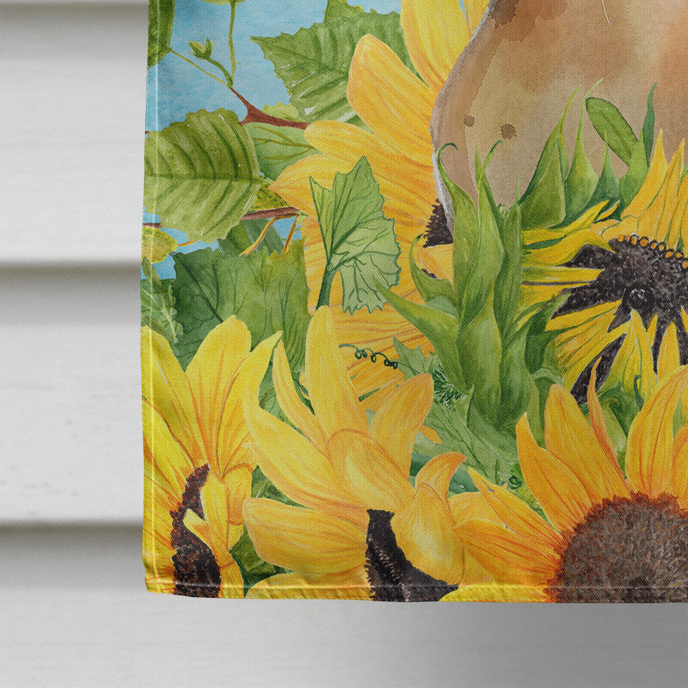 Abyssinian in Sunflowers House Flag 28x40 Porch Sleeve Pole Decorative Outside Yard Banner Artwork Wall Hanging, Polyester