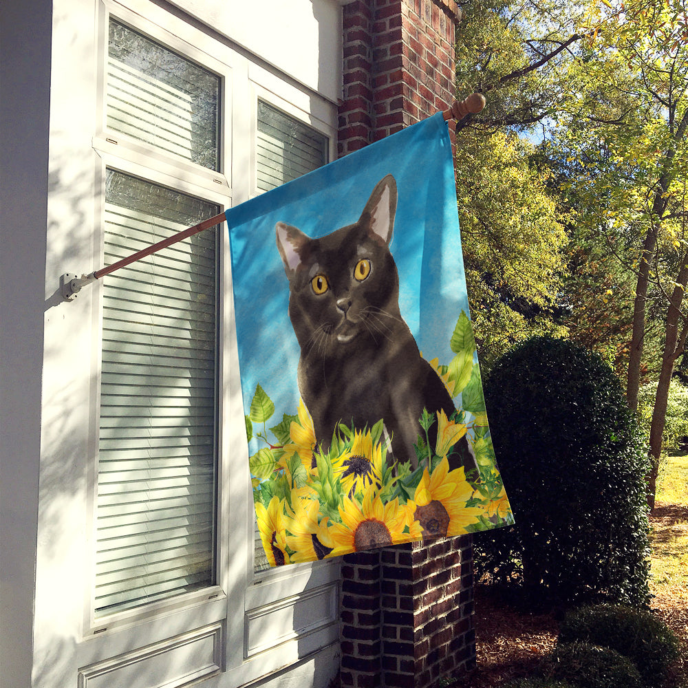 Bombay in Sunflowers House Flag 28x40 Porch Sleeve Pole Decorative Outside Yard Banner Artwork Wall Hanging, Polyester