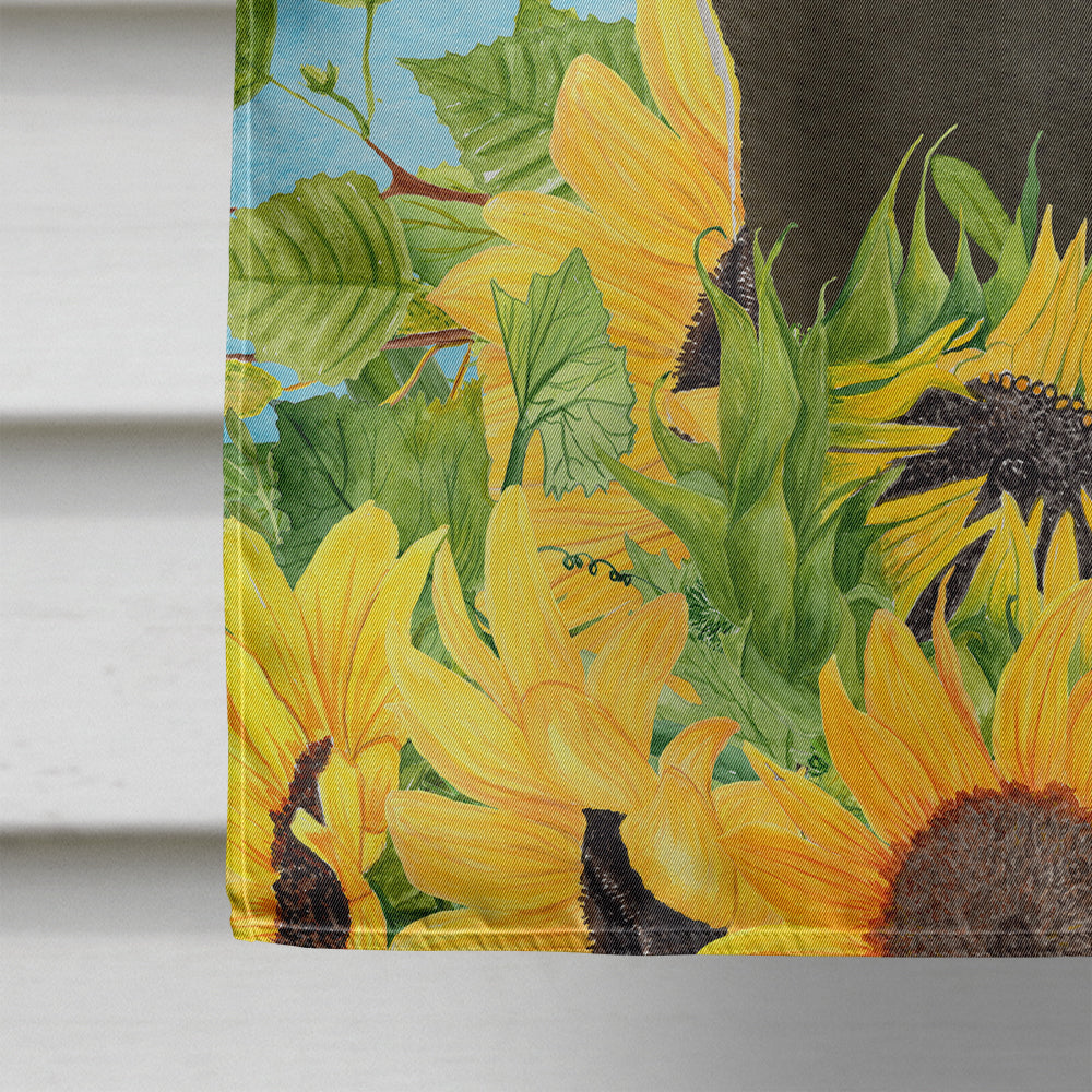 Bombay in Sunflowers House Flag 28x40 Porch Sleeve Pole Decorative Outside Yard Banner Artwork Wall Hanging, Polyester
