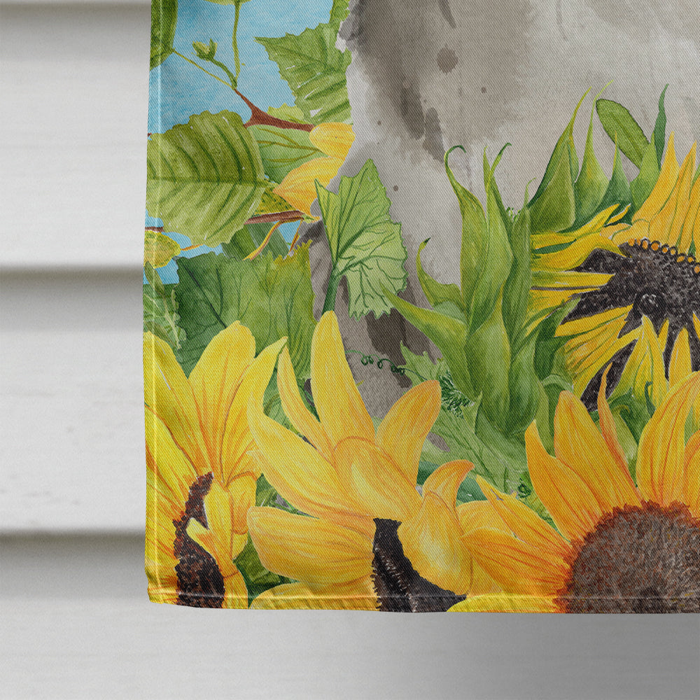 Ragamuffin in Sunflowers House Flag 28x40 Porch Sleeve Pole Decorative Outside Yard Banner Artwork Wall Hanging, Polyester