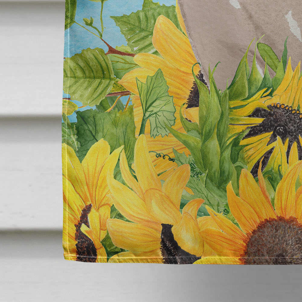 Tonkinese in Sunflowers House Flag 28x40 Porch Sleeve Pole Decorative Outside Yard Banner Artwork Wall Hanging, Polyester