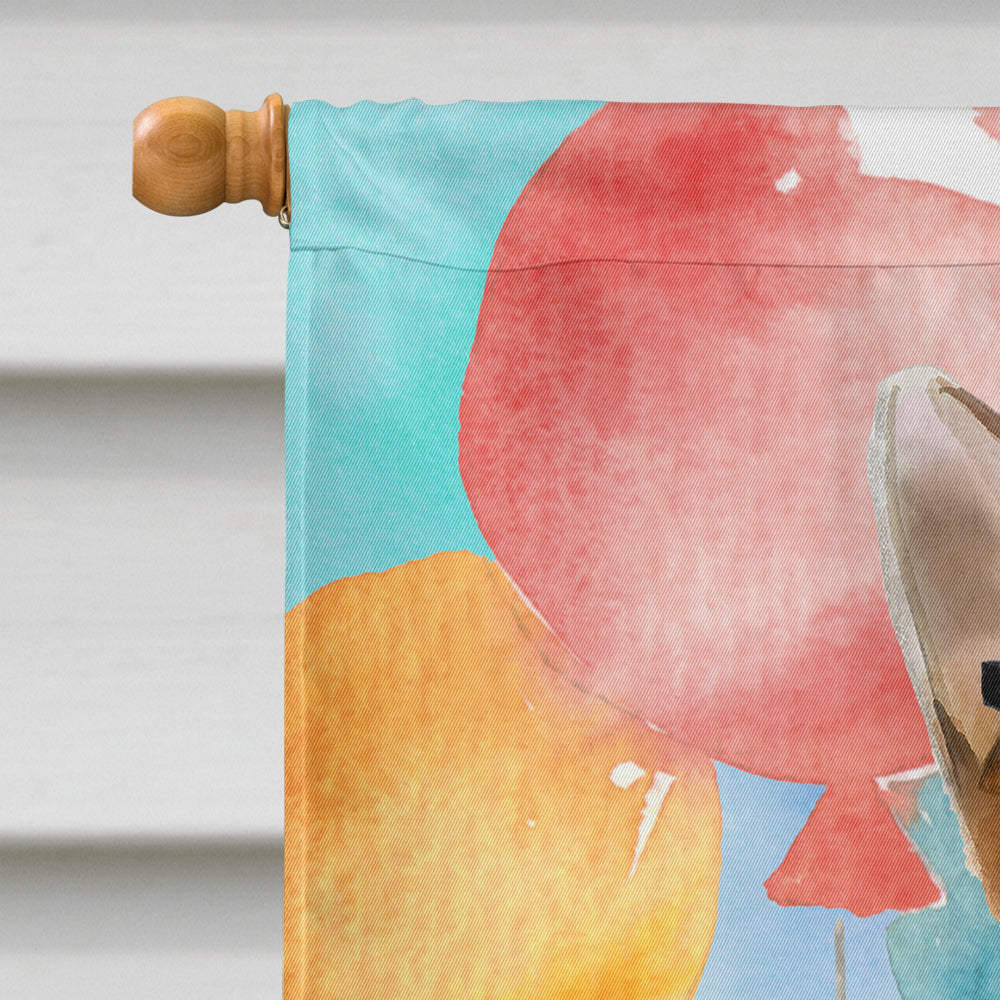 Abyssinian Happy Birthday House Flag 28x40 Porch Sleeve Pole Decorative Outside Yard Banner Artwork Wall Hanging, Polyester