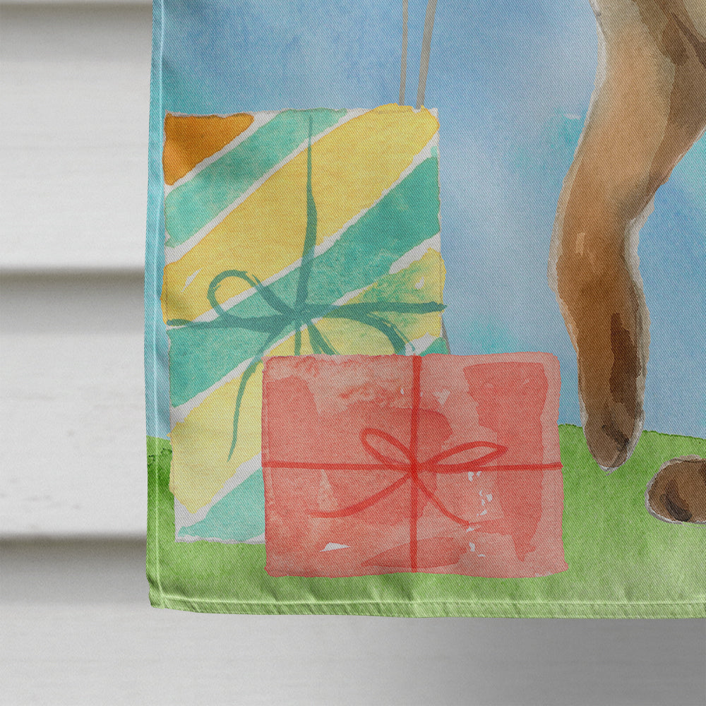 Abyssinian Happy Birthday House Flag 28x40 Porch Sleeve Pole Decorative Outside Yard Banner Artwork Wall Hanging, Polyester