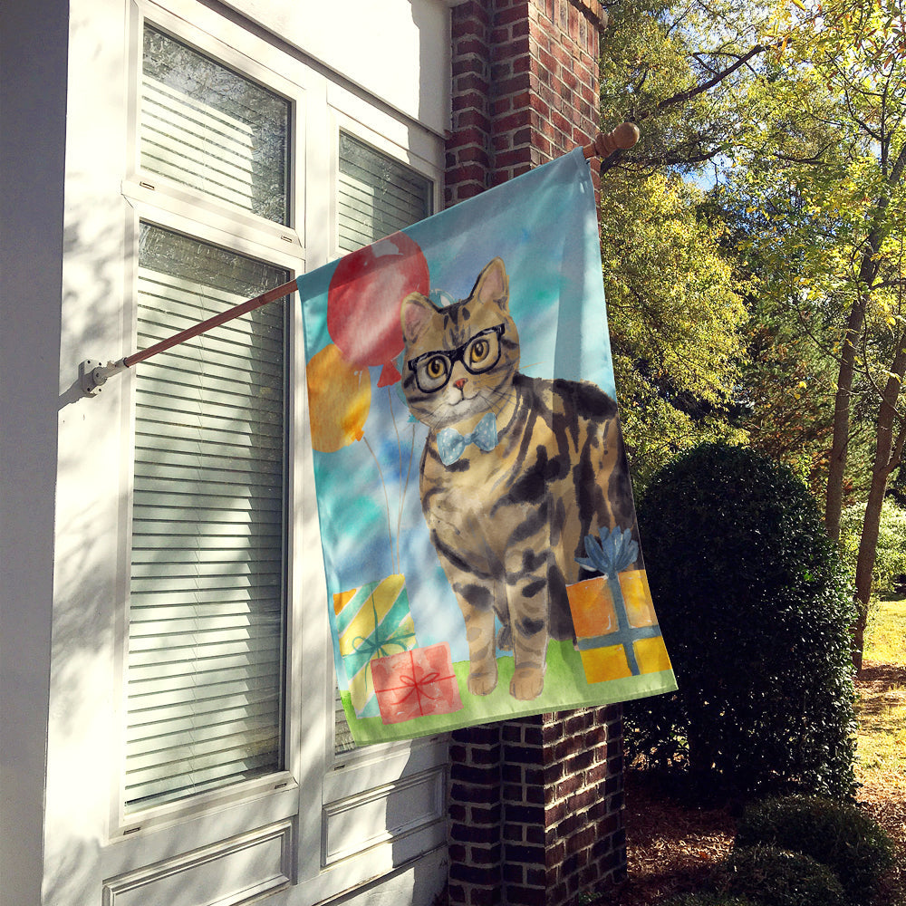 American Shorthair Brown Tabby Happy Birthday House Flag 28x40 Porch Sleeve Pole Decorative Outside Yard Banner Artwork Wall Hanging, Polyester