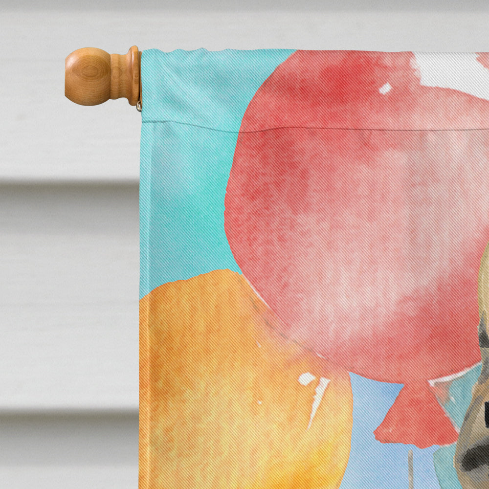 American Shorthair Brown Tabby Happy Birthday House Flag 28x40 Porch Sleeve Pole Decorative Outside Yard Banner Artwork Wall Hanging, Polyester