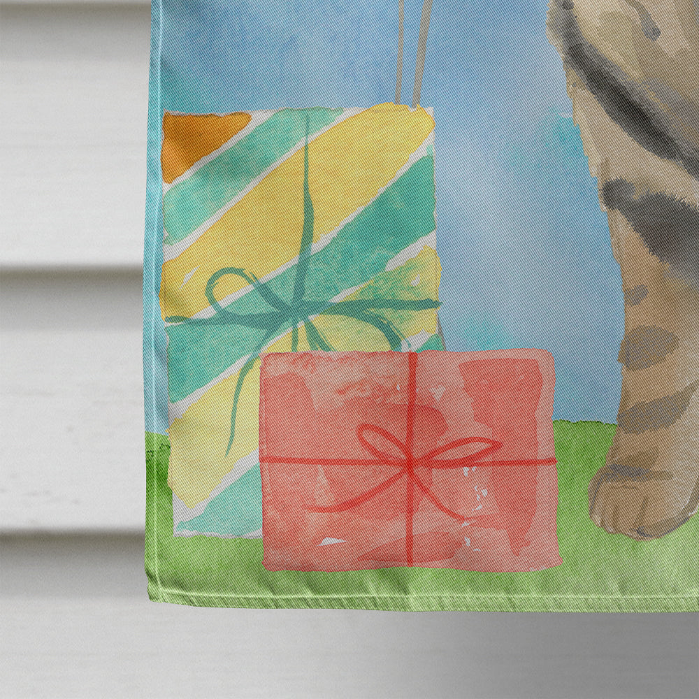American Shorthair Brown Tabby Happy Birthday House Flag 28x40 Porch Sleeve Pole Decorative Outside Yard Banner Artwork Wall Hanging, Polyester