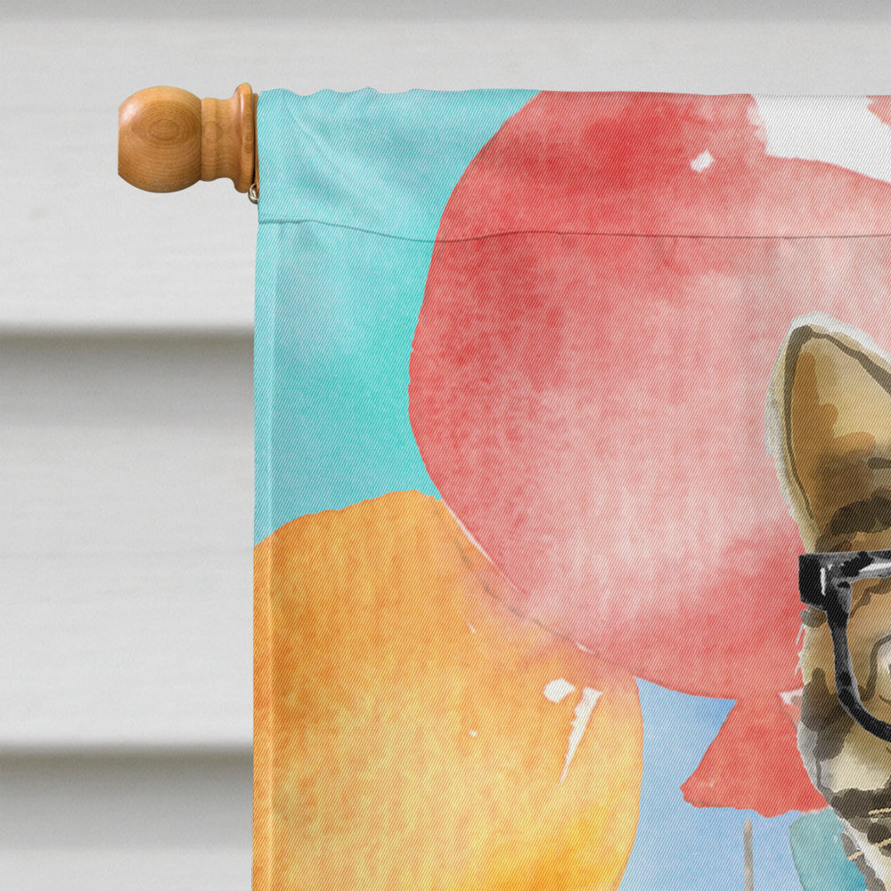 Bengal Happy Birthday House Flag 28x40 Porch Sleeve Pole Decorative Outside Yard Banner Artwork Wall Hanging, Polyester