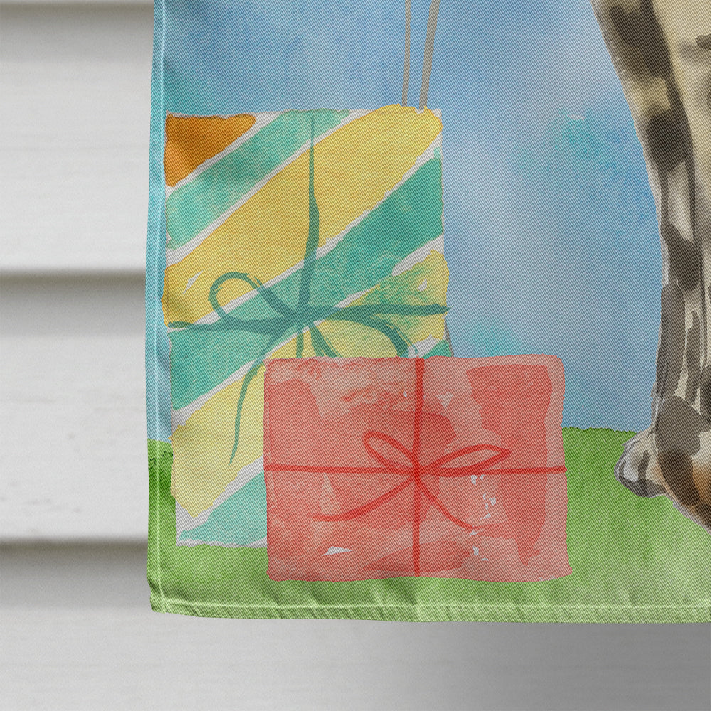 Bengal Happy Birthday House Flag 28x40 Porch Sleeve Pole Decorative Outside Yard Banner Artwork Wall Hanging, Polyester