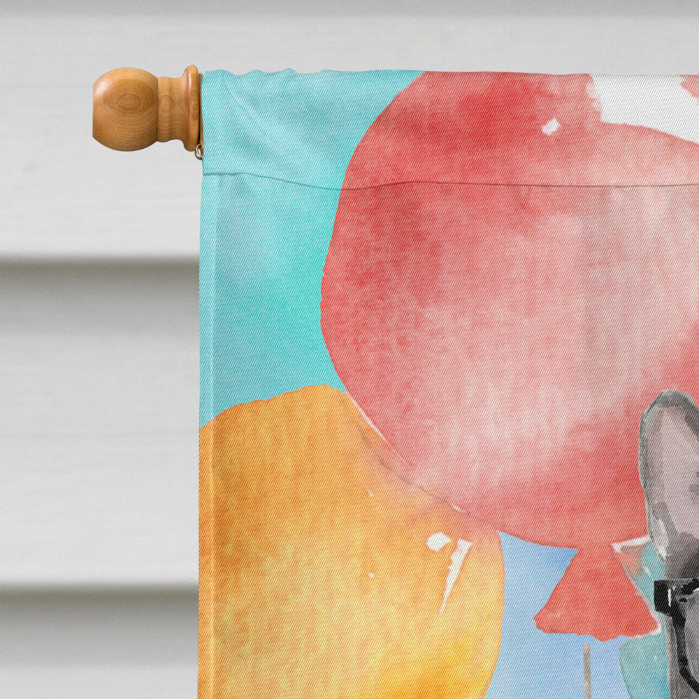 Blue Russian Happy Birthday House Flag 28x40 Porch Sleeve Pole Decorative Outside Yard Banner Artwork Wall Hanging, Polyester