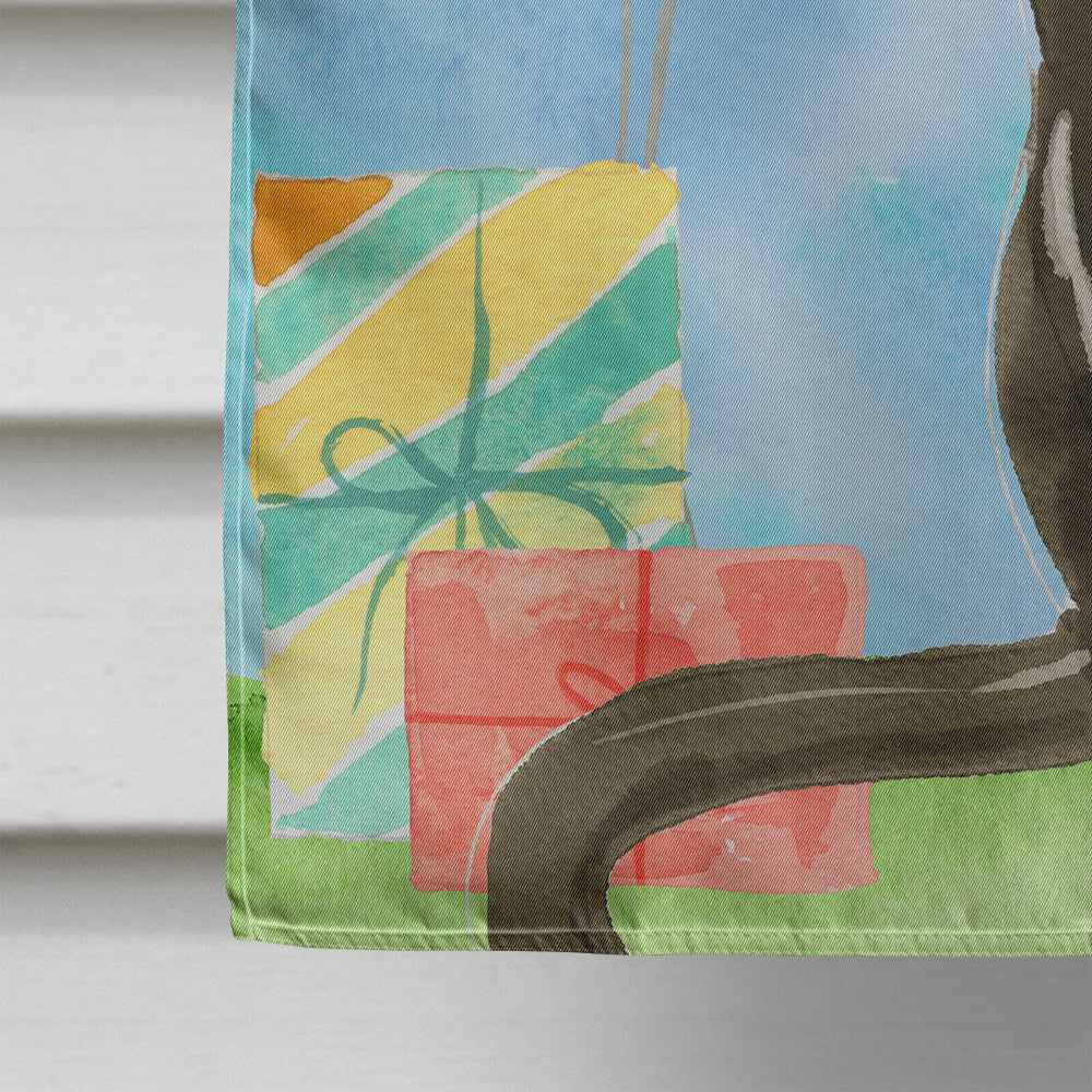 Bombay Happy Birthday House Flag 28x40 Porch Sleeve Pole Decorative Outside Yard Banner Artwork Wall Hanging, Polyester