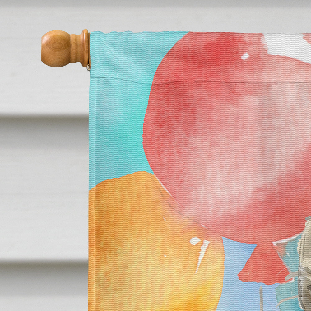 Maine Coon Happy Birthday House Flag 28x40 Porch Sleeve Pole Decorative Outside Yard Banner Artwork Wall Hanging, Polyester