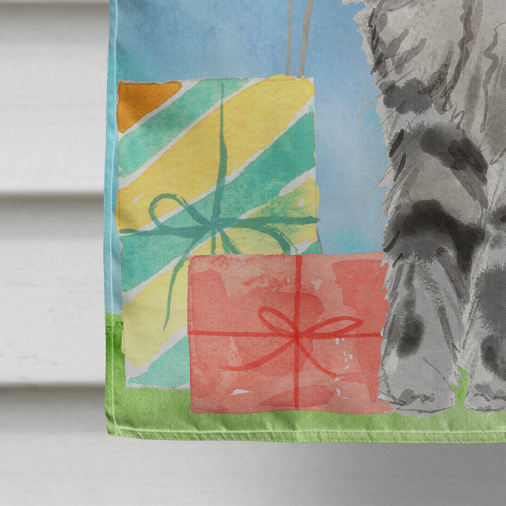 Maine Coon Happy Birthday House Flag 28x40 Porch Sleeve Pole Decorative Outside Yard Banner Artwork Wall Hanging, Polyester
