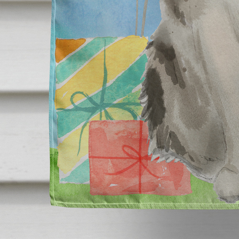 Ragamuffin Happy Birthday House Flag 28x40 Porch Sleeve Pole Decorative Outside Yard Banner Artwork Wall Hanging, Polyester