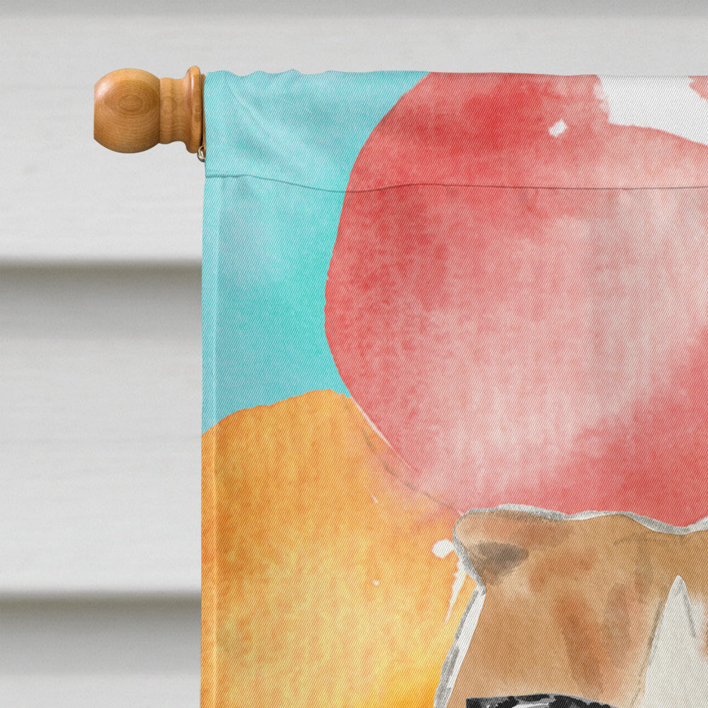 Scottish Fold Happy Birthday House Flag 28x40 Porch Sleeve Pole Decorative Outside Yard Banner Artwork Wall Hanging, Polyester