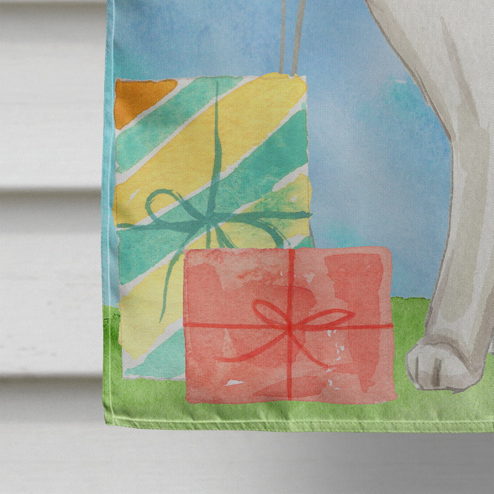 Scottish Fold Happy Birthday House Flag 28x40 Porch Sleeve Pole Decorative Outside Yard Banner Artwork Wall Hanging, Polyester