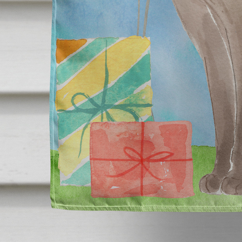 Tonkinese Happy Birthday House Flag 28x40 Porch Sleeve Pole Decorative Outside Yard Banner Artwork Wall Hanging, Polyester