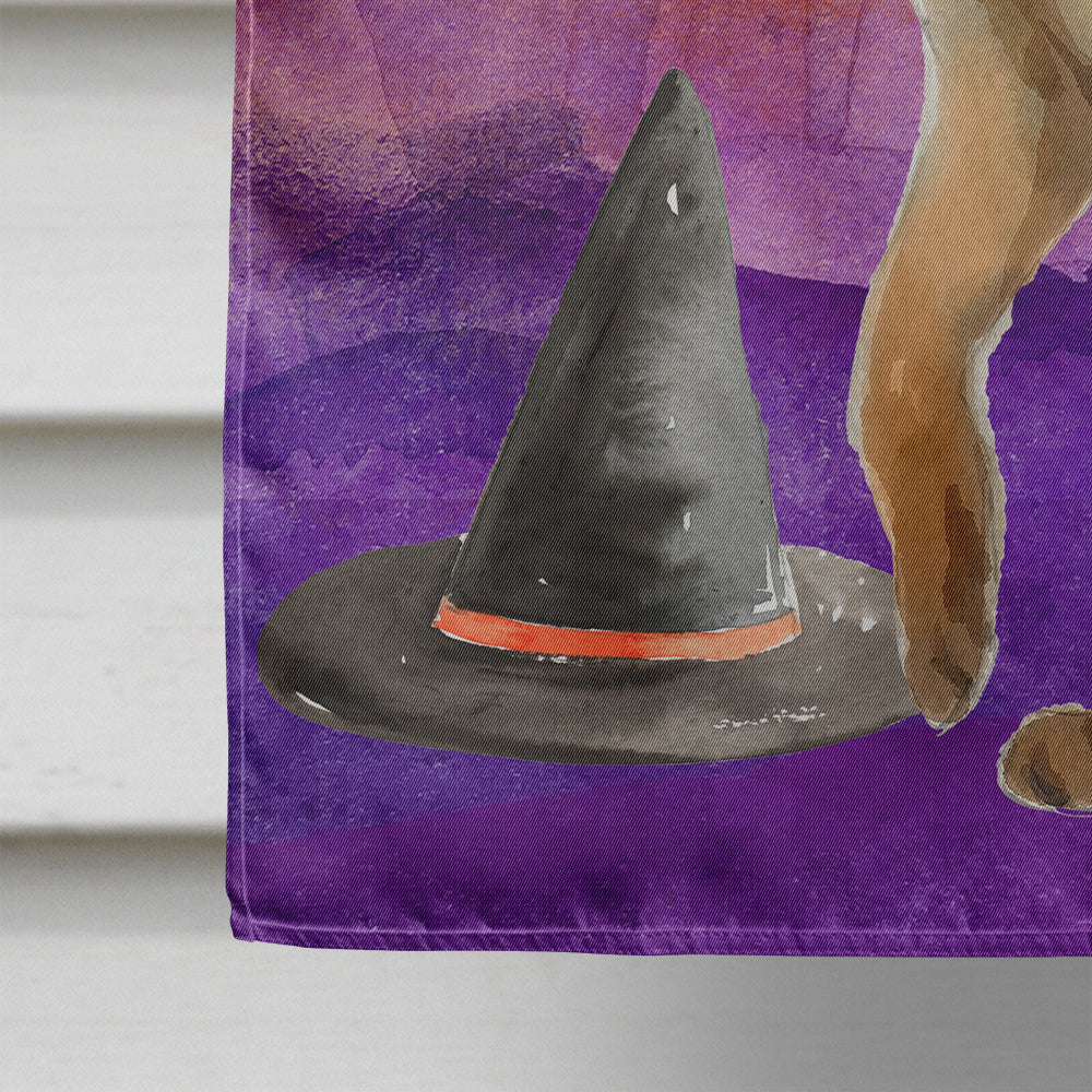 Abyssinian Halloween House Flag 28x40 Porch Sleeve Pole Decorative Outside Yard Banner Artwork Wall Hanging, Polyester
