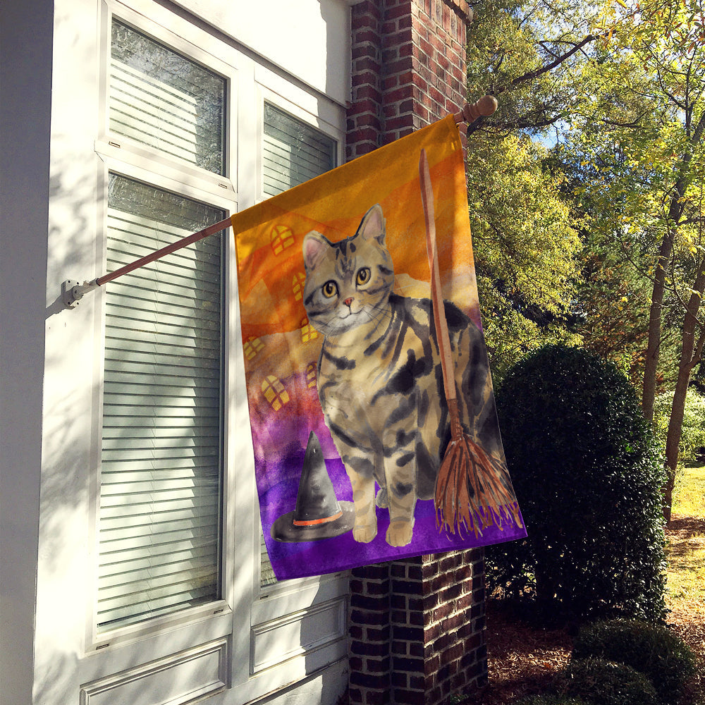 American Shorthair Brown Tabby Halloween House Flag 28x40 Porch Sleeve Pole Decorative Outside Yard Banner Artwork Wall Hanging, Polyester