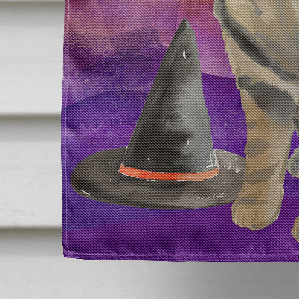 American Shorthair Brown Tabby Halloween House Flag 28x40 Porch Sleeve Pole Decorative Outside Yard Banner Artwork Wall Hanging, Polyester