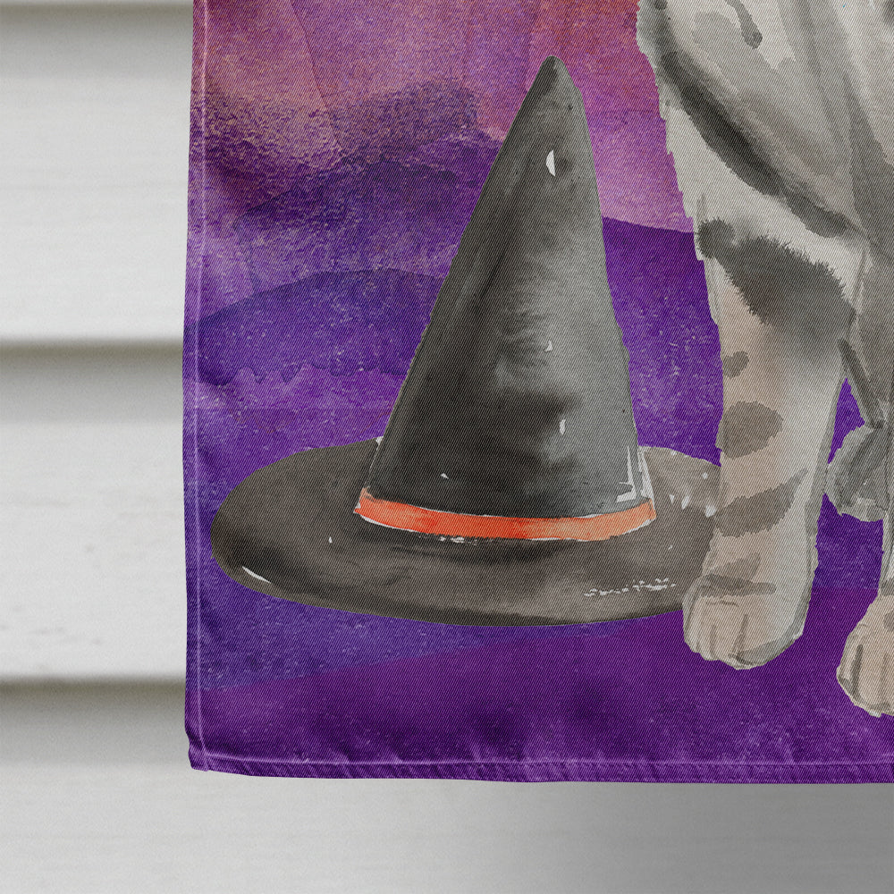 American Shorthair Halloween House Flag 28x40 Porch Sleeve Pole Decorative Outside Yard Banner Artwork Wall Hanging, Polyester