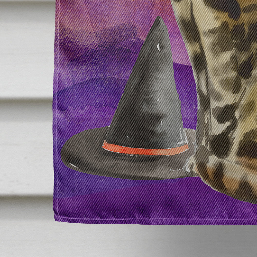 Bengal Halloween House Flag 28x40 Porch Sleeve Pole Decorative Outside Yard Banner Artwork Wall Hanging, Polyester