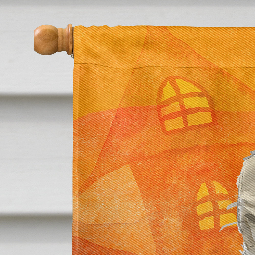 Maine Coon Halloween House Flag 28x40 Porch Sleeve Pole Decorative Outside Yard Banner Artwork Wall Hanging, Polyester