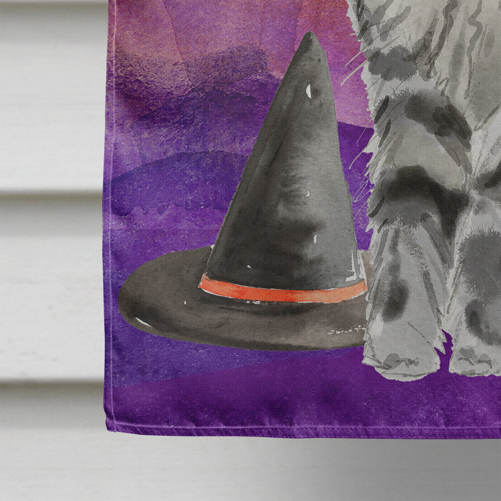 Maine Coon Halloween House Flag 28x40 Porch Sleeve Pole Decorative Outside Yard Banner Artwork Wall Hanging, Polyester