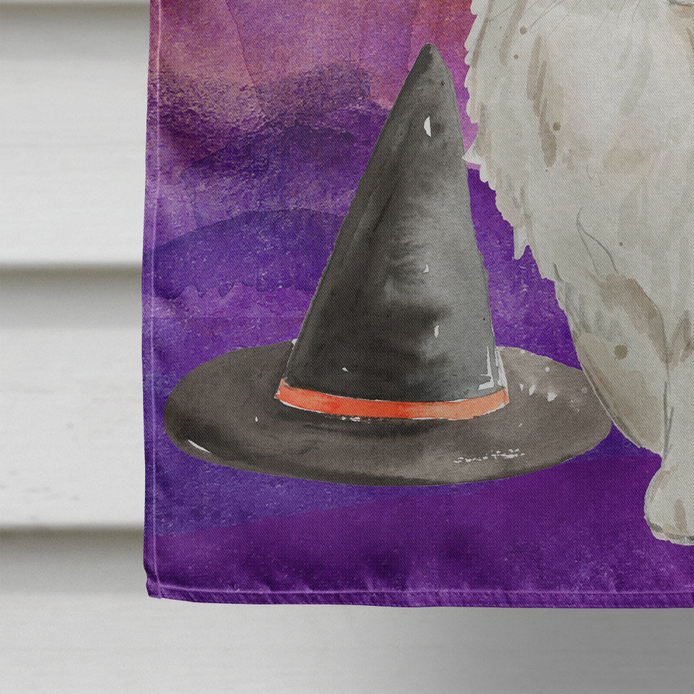 Persian Halloween House Flag 28x40 Porch Sleeve Pole Decorative Outside Yard Banner Artwork Wall Hanging, Polyester