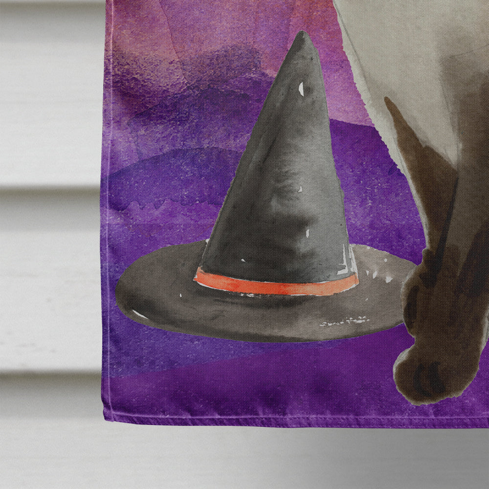 Siamese Halloween House Flag 28x40 Porch Sleeve Pole Decorative Outside Yard Banner Artwork Wall Hanging, Polyester