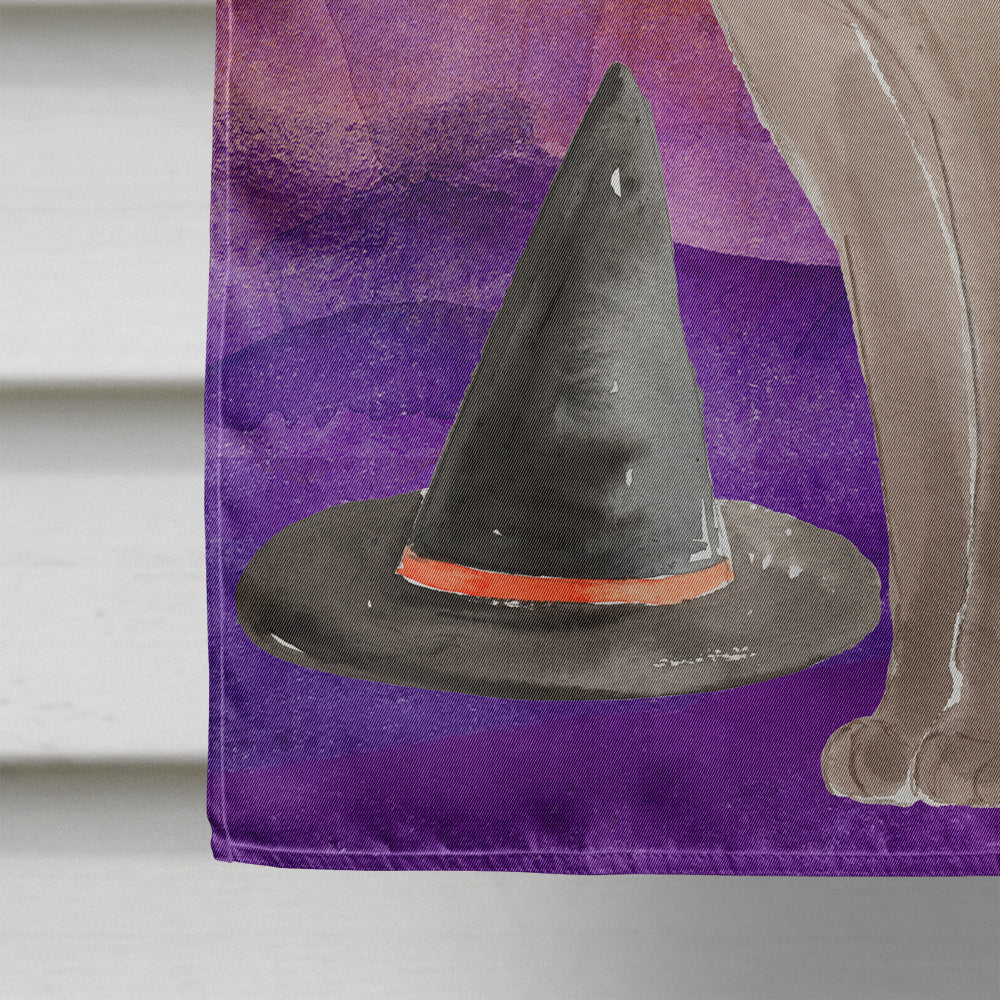 Tonkinese Halloween House Flag 28x40 Porch Sleeve Pole Decorative Outside Yard Banner Artwork Wall Hanging, Polyester